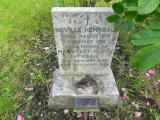 image of grave number 300762